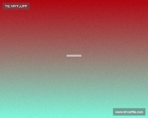 焦点赛事直播间—焦点资讯