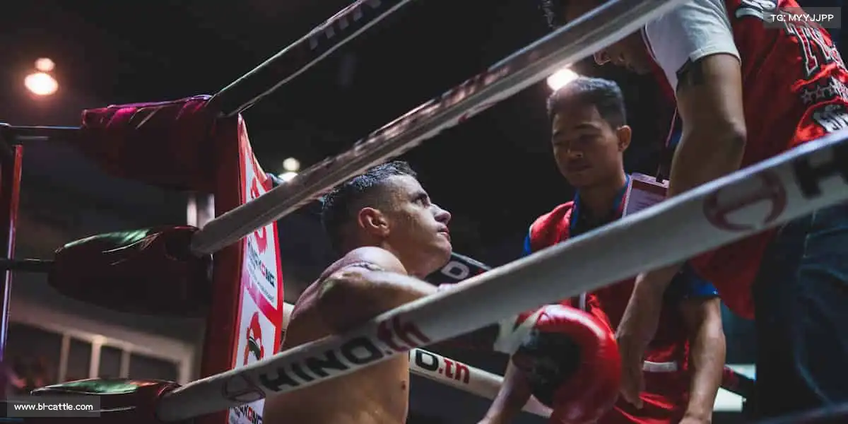 金沙城js93线路检测中心——🏇马术优雅，掌控每一步节奏🐎